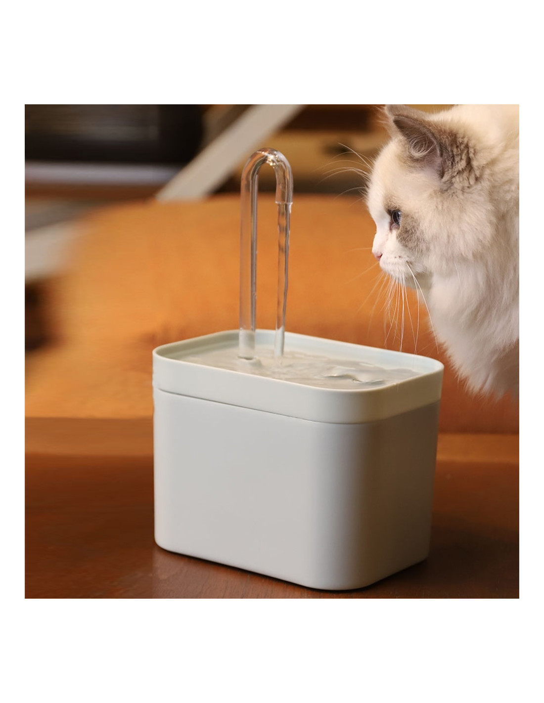 Vigilante Polémico Inactividad Fontana de agua para gatos Couleur primaire Azul