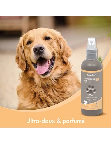 BEAPHAR – Spray Shampoing Sec ultra-doux pour chien