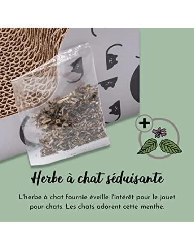 riijk Griffoir pour Chats en Carton avec Herbe-aux-Chats -