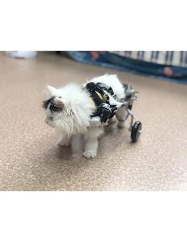 

DFJU Silla de ruedas para gatos discapacitados