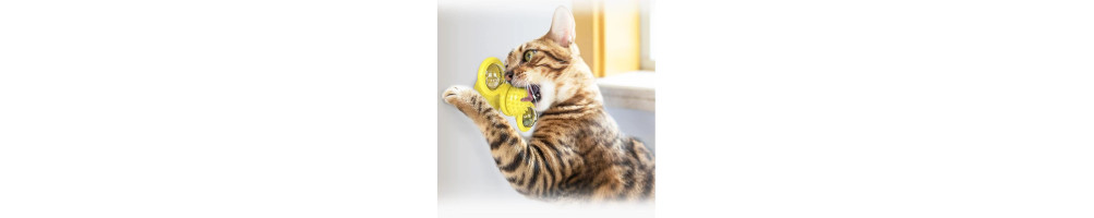 Jouets pour chat